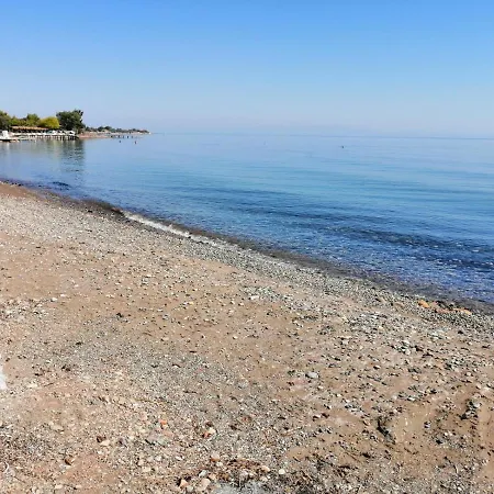 Assos Yali Butik Beach Hotel *